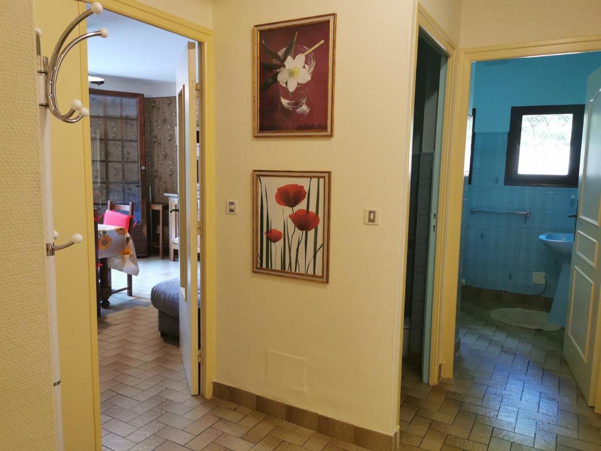 F2 de 45 m2 avec jardin au rdc dans villa chiens OK à 5 min à pied des Thermes de Vernet-les-Bains, location de samedi à samedi Extérieur photo